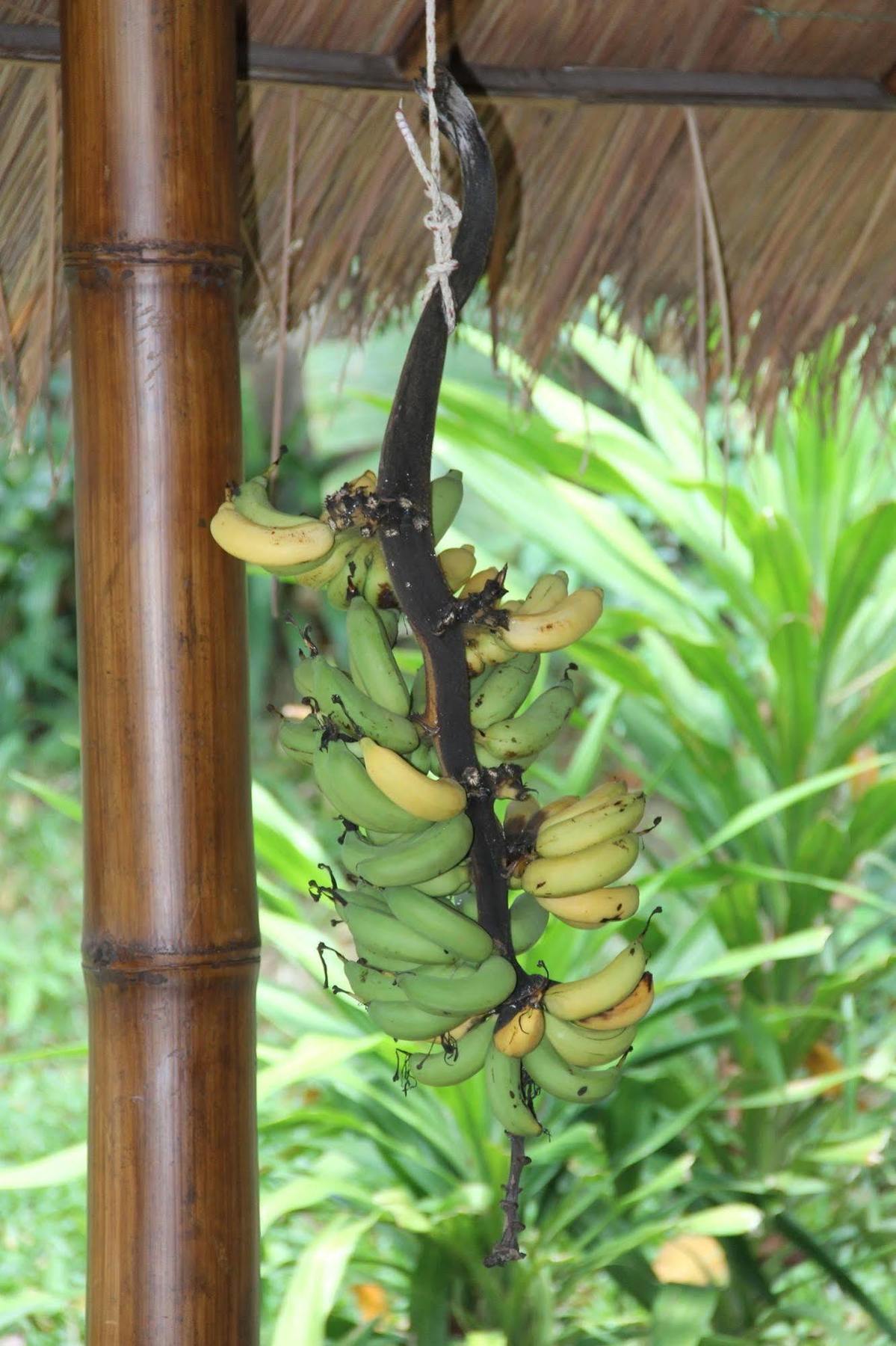 Gecko Lipe Resort Zewnętrze zdjęcie